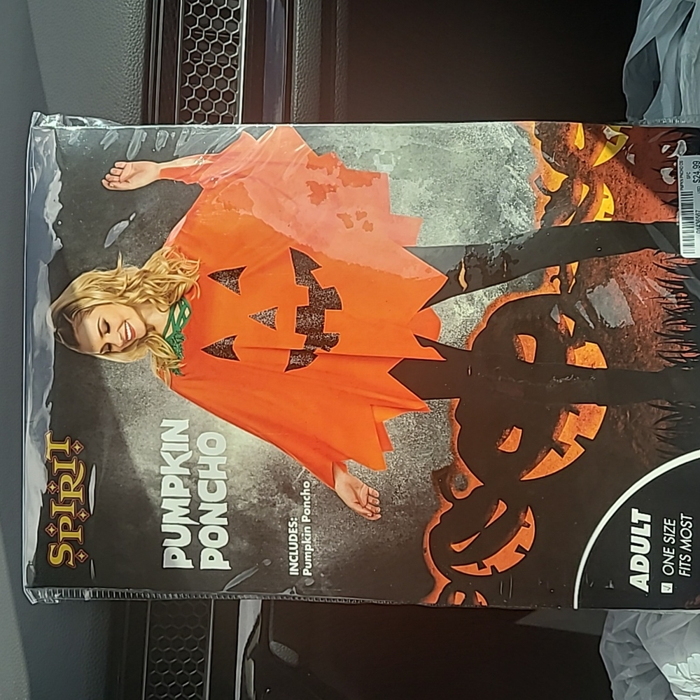 Pumpkin poncho